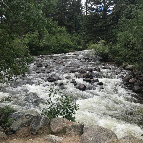 Meet your Posher, Martha - Picture 1 of 1